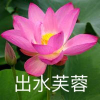 油气基金溢价高企 这场“狂欢”还能持续多久？